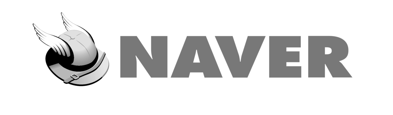 naver logo